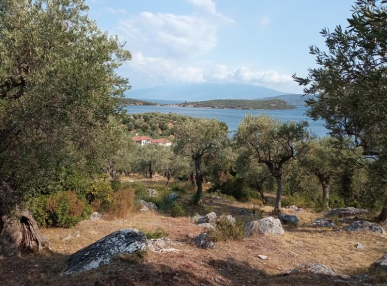 צילום-מסך-2022-04-14-120942