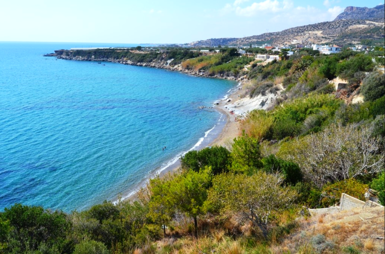 צילום-מסך-2022-04-19-140159