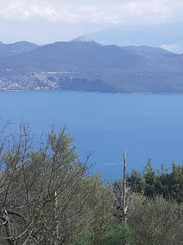 צילום-מסך-2022-04-24-143433