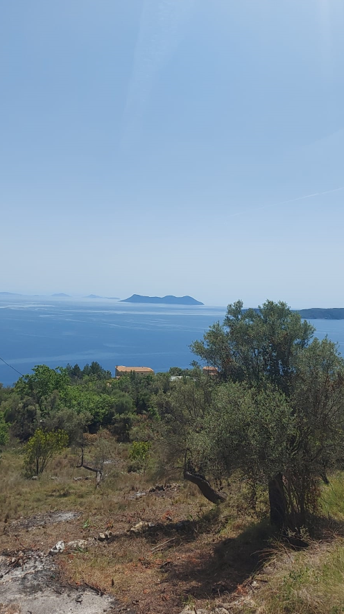 צילום-מסך-2022-04-25-131904