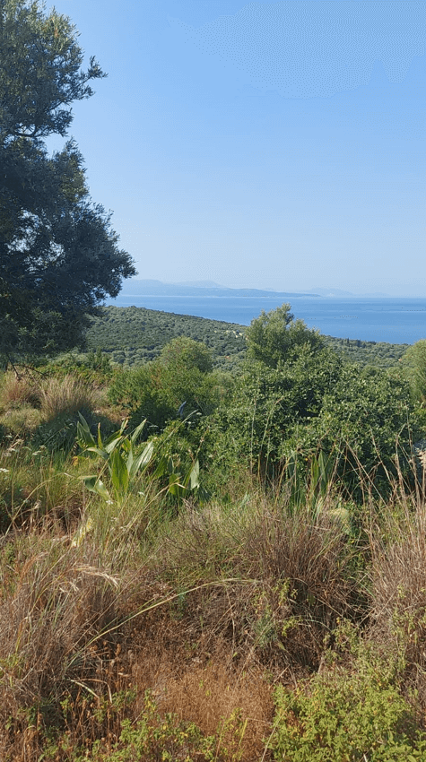 צילום-מסך-2022-05-15-130551