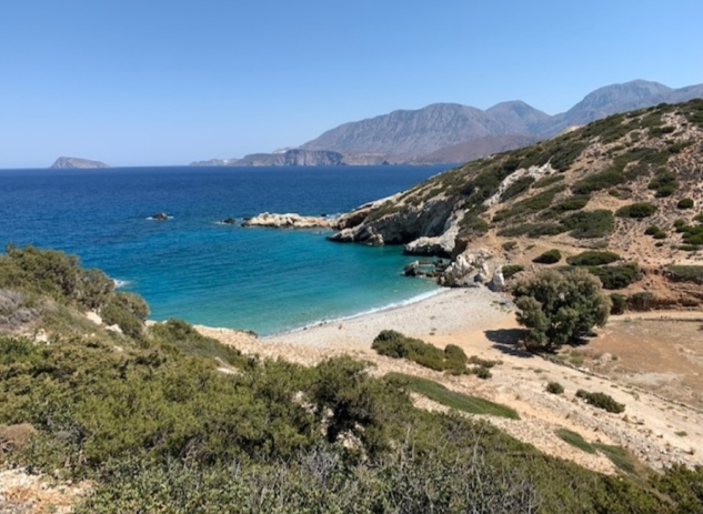 צילום-מסך-2022-05-24-132438