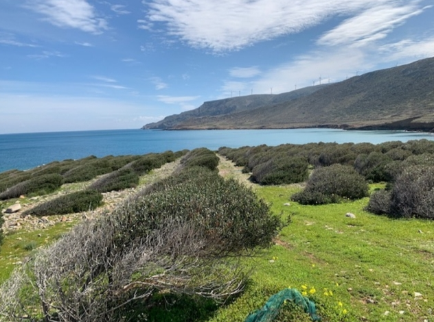 צילום-מסך-2022-05-26-123734