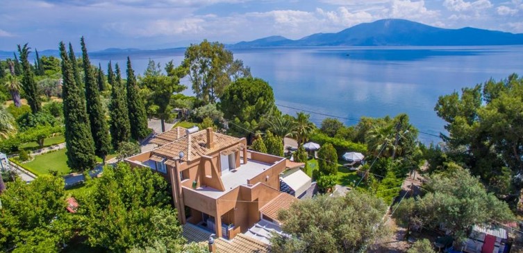 צילום-מסך-2022-06-07-171439