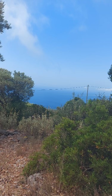 צילום-מסך-2022-06-09-150014