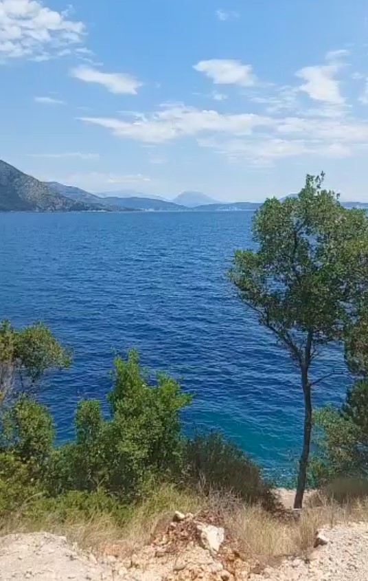 צילום-מסך-2022-06-19-133106