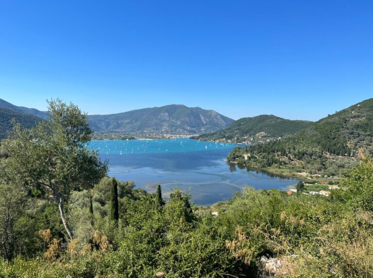 צילום-מסך-2022-07-21-162435