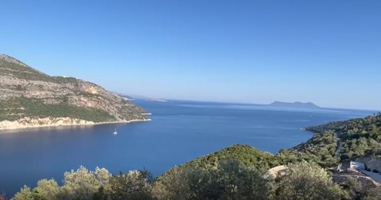 צילום-מסך-2022-07-24-115827