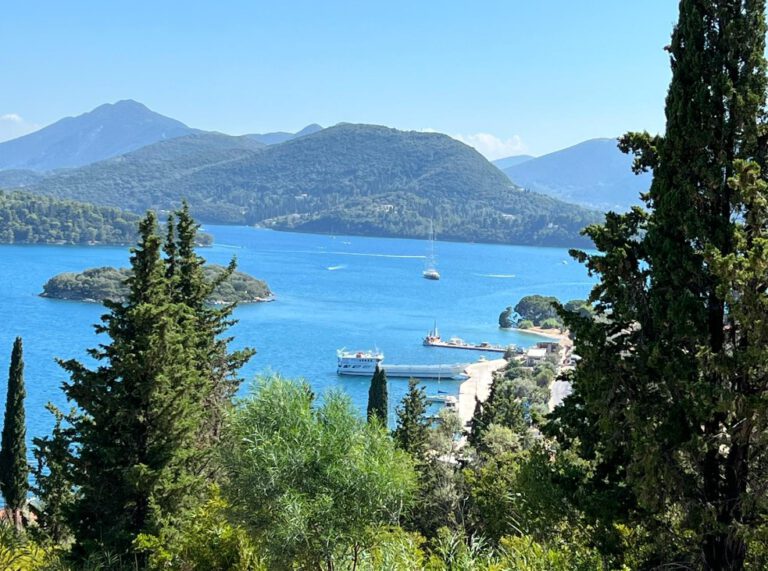 צילום-מסך-2022-08-02-141933