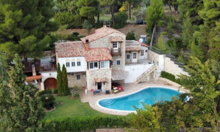 צילום-מסך-2022-08-15-112401-1