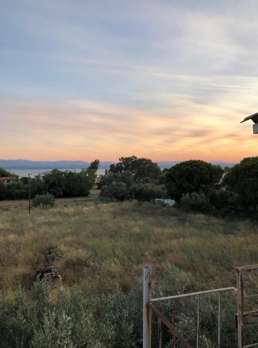 צילום-מסך-2022-08-23-165227