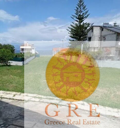 צילום-מסך-2022-09-01-121109-2