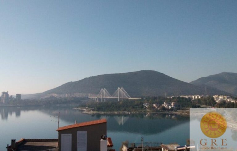 צילום-מסך-2022-09-05-142557