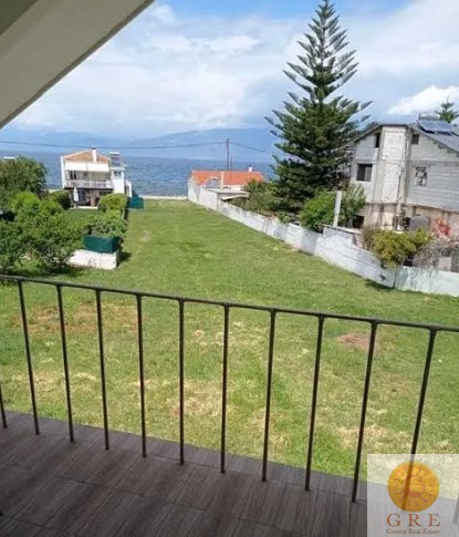 צילום-מסך-2022-09-11-115552