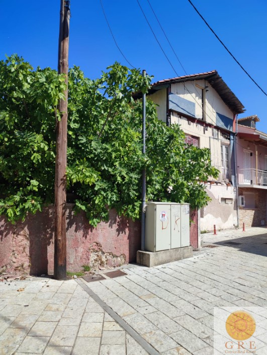 צילום-מסך-2022-09-11-152159