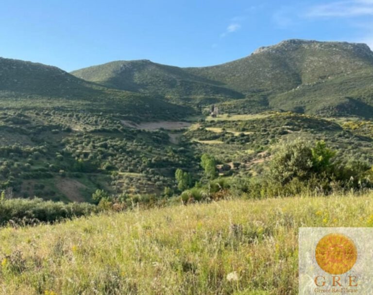 צילום-מסך-2022-09-14-120321