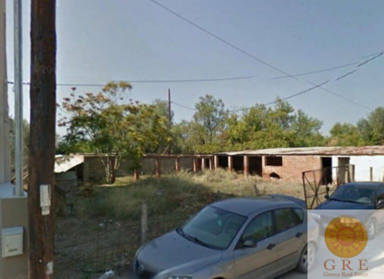 צילום-מסך-2022-09-14-152823