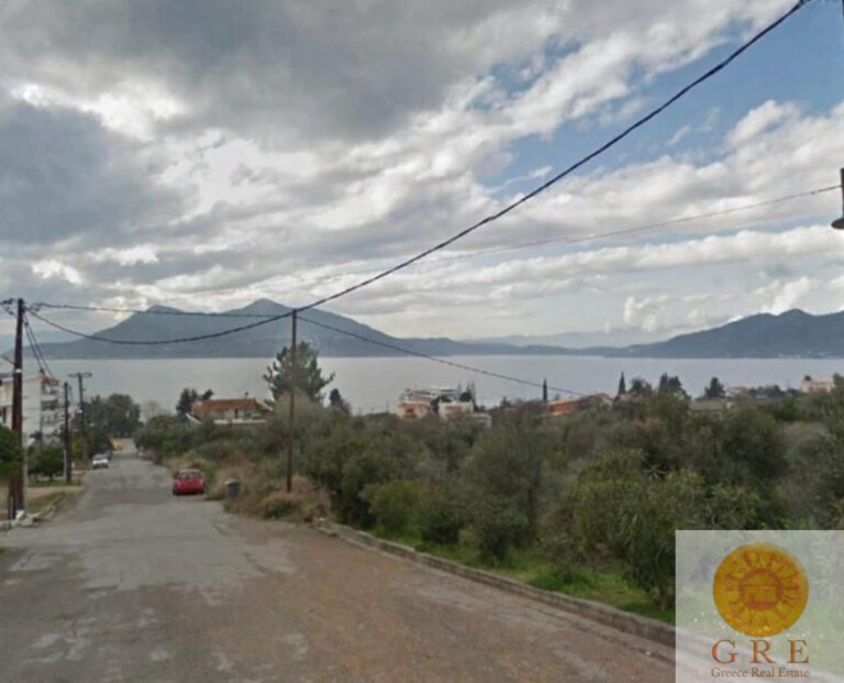 צילום-מסך-2022-09-15-141133