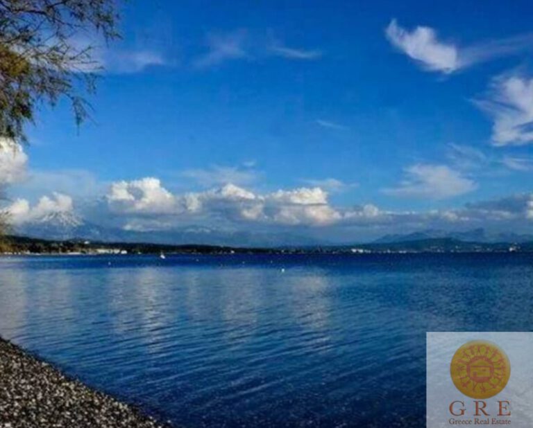 צילום-מסך-2022-09-15-153516