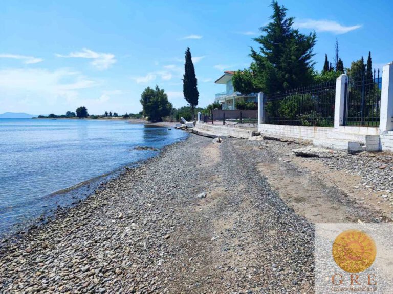 צילום-מסך-2022-10-19-121037