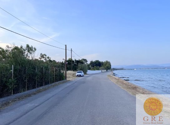 צילום-מסך-2022-10-20-143125