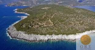 צילום-מסך-2022-10-31-121153