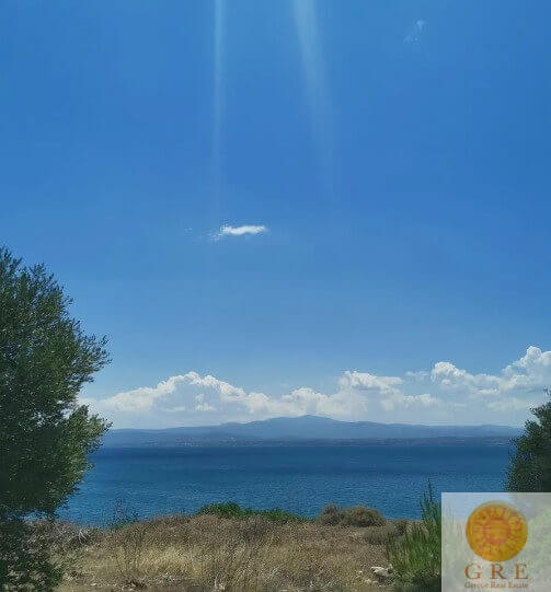 צילום-מסך-2022-11-07-115008-1