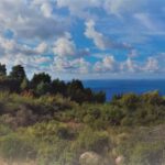 אדמה-רז2-1024x262