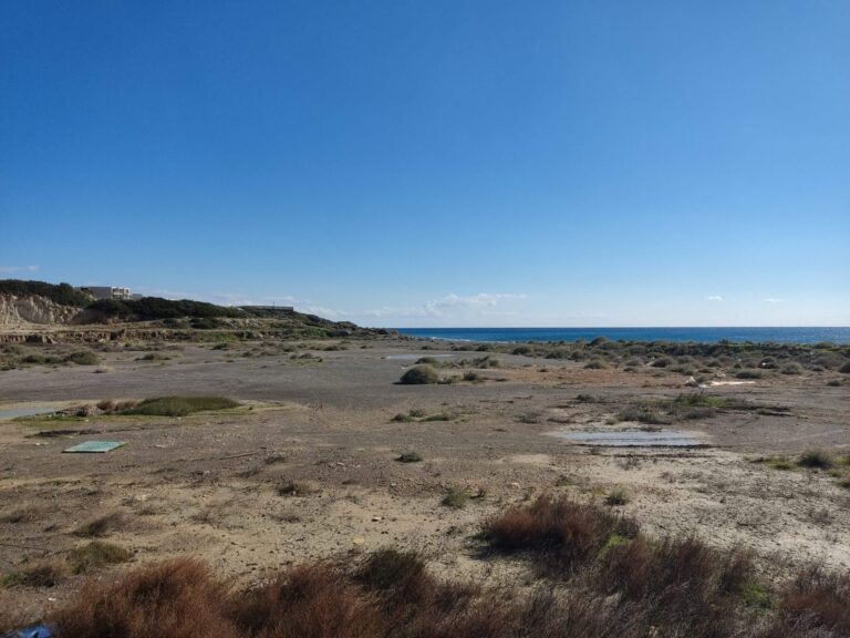 IMG_20230114_120255-1-scaled