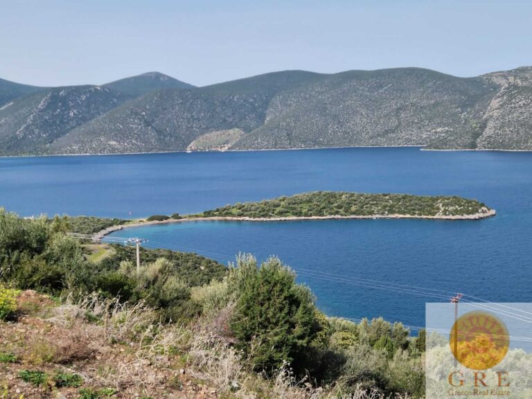 PHOTO-2024-03-11-12-01-33-1-1