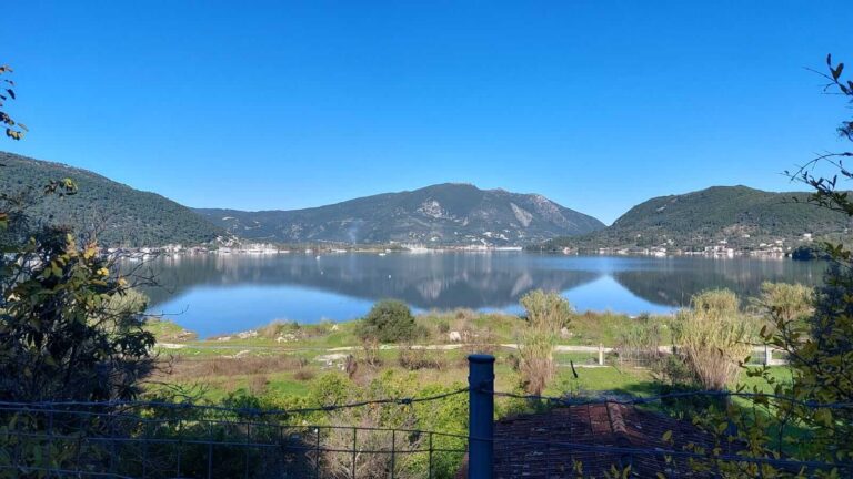 PHOTO-2024-03-12-15-09-59-6