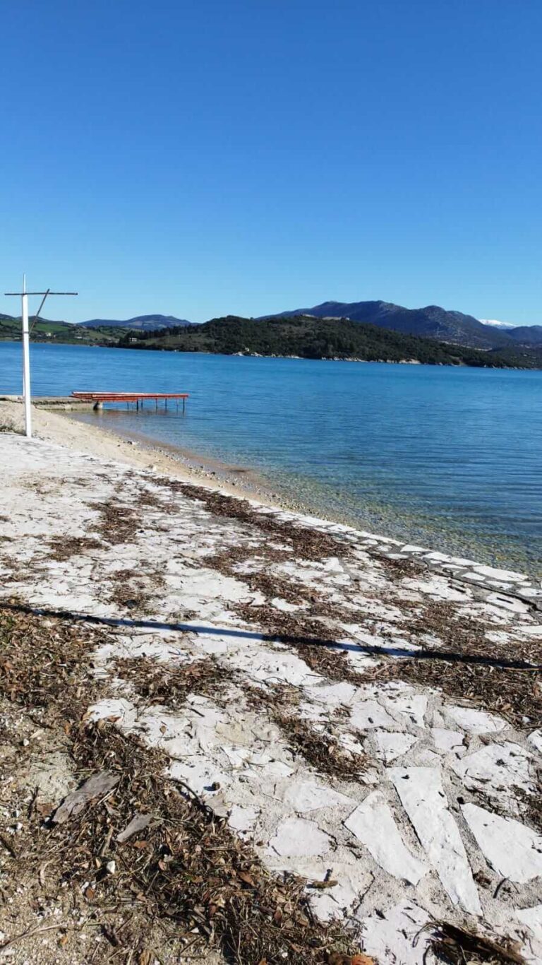 WhatsApp-Image-2023-02-02-at-10.48