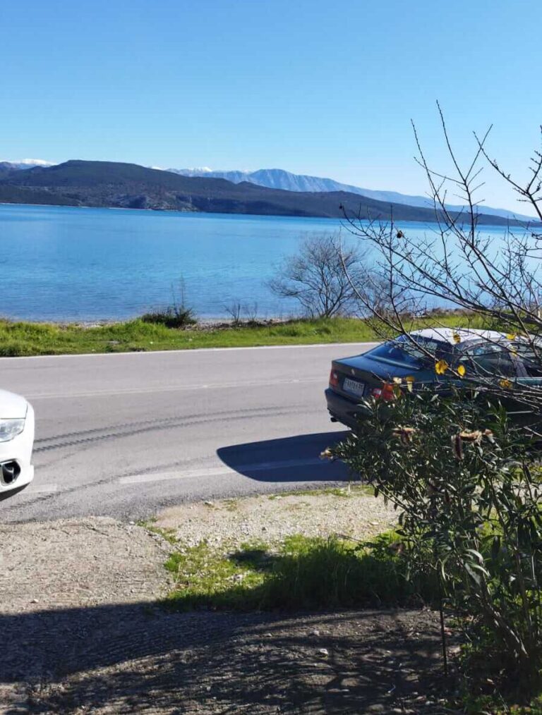 WhatsApp-Image-2023-02-02-at-10.51