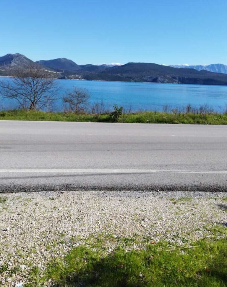 WhatsApp-Image-2023-02-02-at-10.51