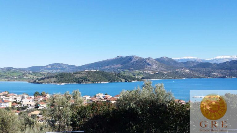 WhatsApp-Image-2023-02-02-at-10.53