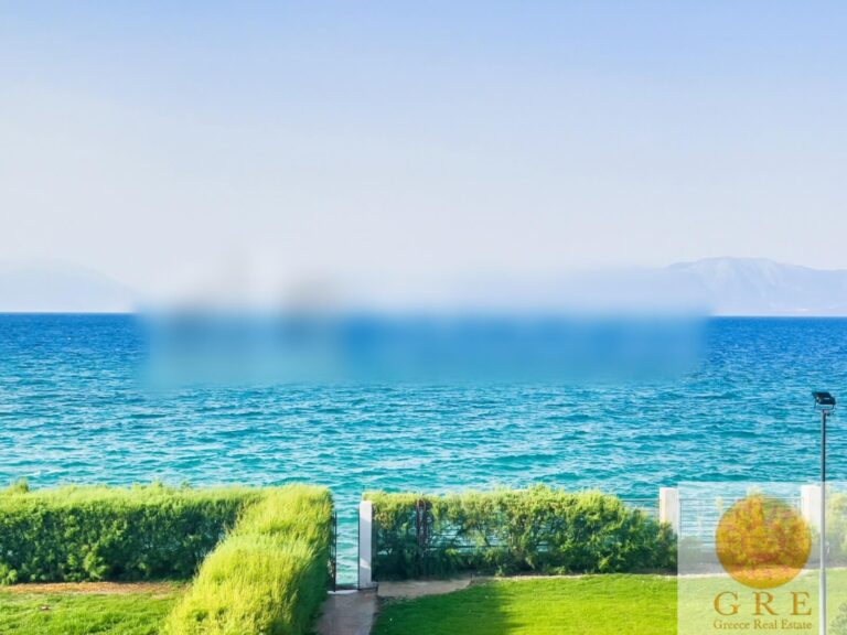 WhatsApp-Image-2024-09-19-at-14.58