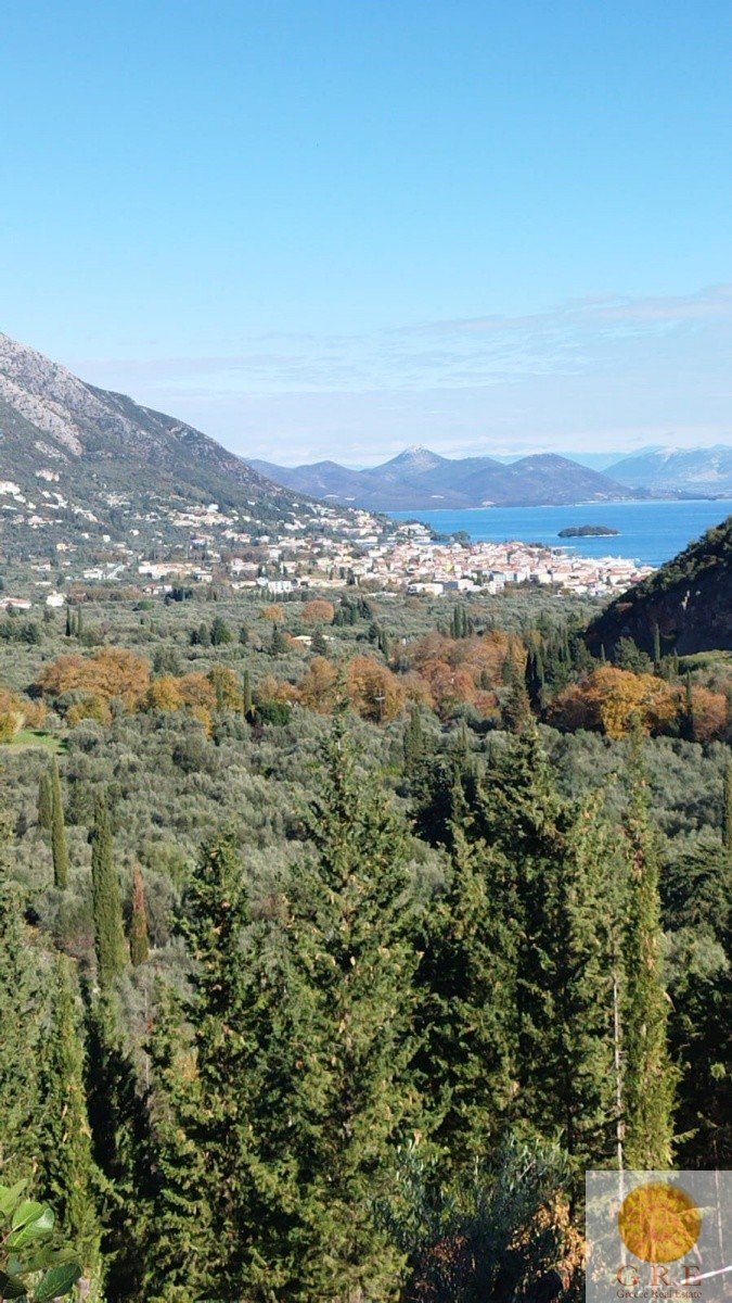 WhatsApp-Image-2024-12-03-at-13.03