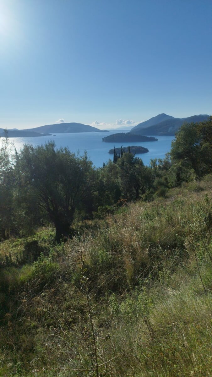 WhatsApp-Image-2024-12-12-at-10.43