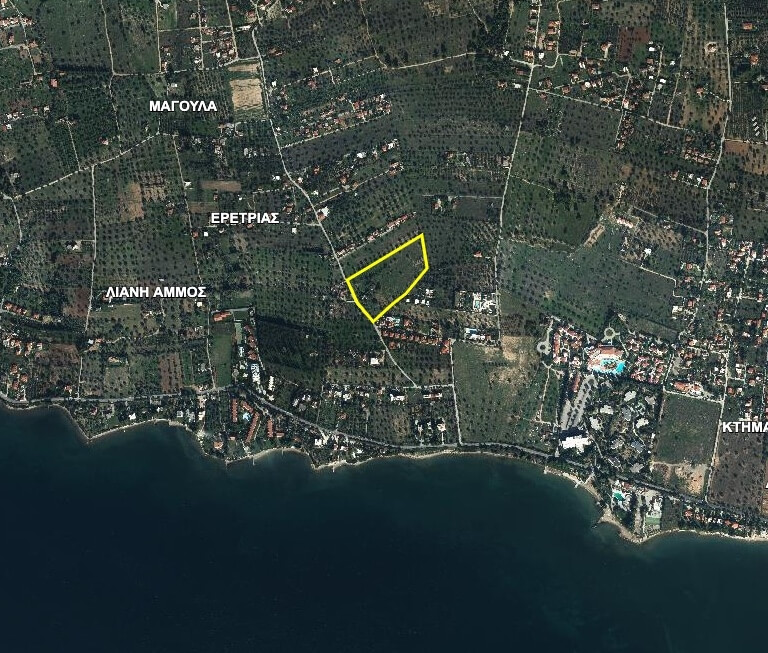 img_52bf577d-f4ef-45ac-94f4-c0a297070116