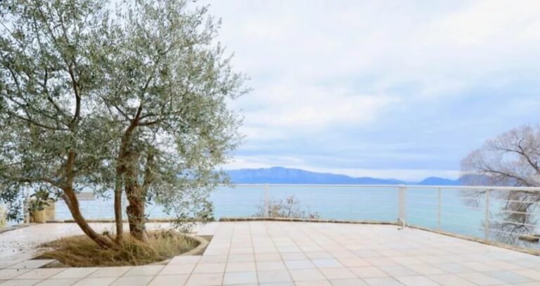 צילום-מסך-2022-12-25-151633