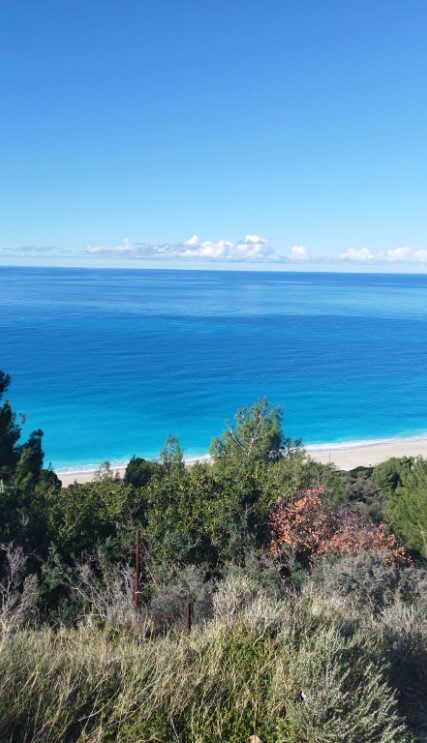 צילום-מסך-2023-01-30-134438