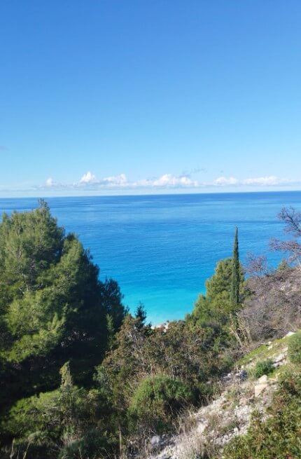 צילום-מסך-2023-01-30-140634