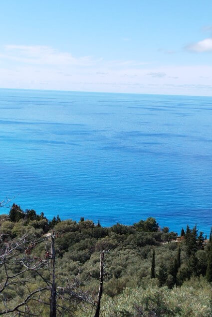 צילום-מסך-2023-01-30-143343