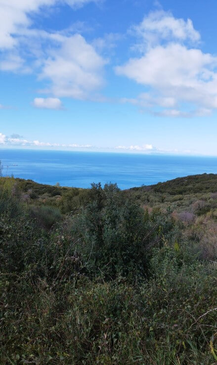 צילום-מסך-2023-01-30-144657