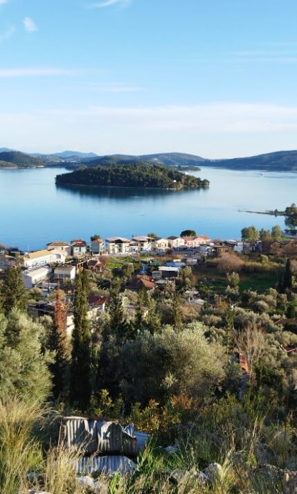 צילום-מסך-2023-01-30-145306