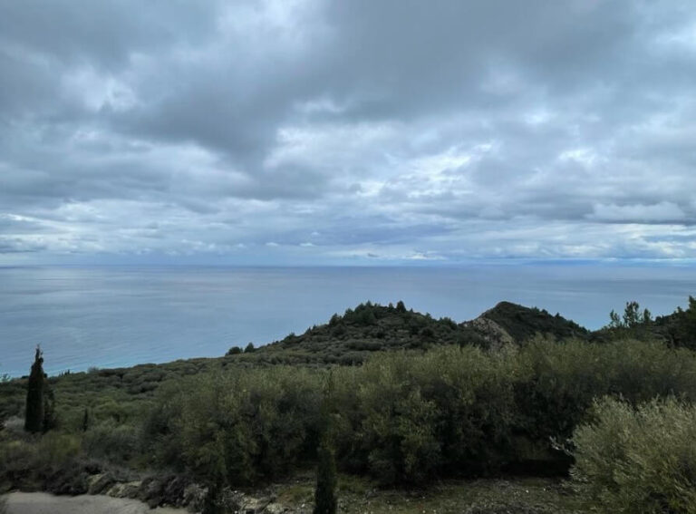 צילום-מסך-2023-01-31-132859