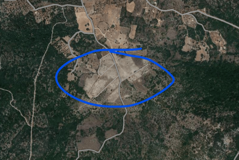 צילום-מסך-2023-05-16-094024