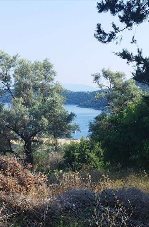 צילום-מסך-2023-06-23-123437