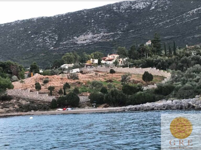 צילום-מסך-2023-07-06-113958-1