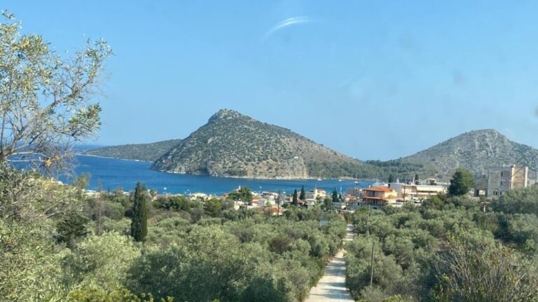 צילום-מסך-2023-07-11-092857